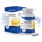 Herbs Energy Magnesium RANNÍ HOŘČÍK 60 kapslí – Zboží Mobilmania