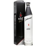 Stolichnaya Elit 40% 3 l (karton) – Sleviste.cz