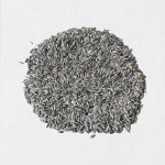 Avicentra Slunečnice žíhaná 25 kg – Zbozi.Blesk.cz