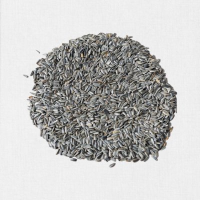 Avicentra Slunečnice žíhaná 25 kg – Zbozi.Blesk.cz