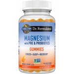 Garden of Life Dr. Formulated Hořčík s prebiotiky a probiotiky 60 žvýkacích kapslí – Hledejceny.cz