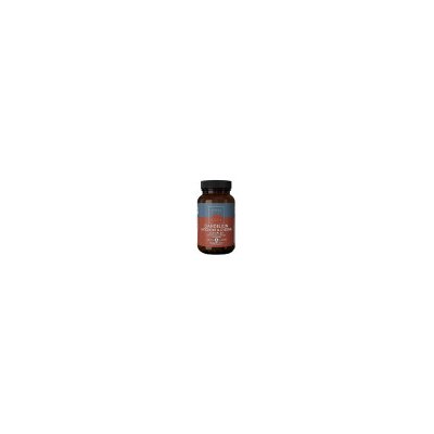 Terranova Health Synergie pro játra 50ks – Hledejceny.cz