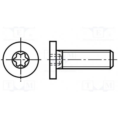 BOSSARD 3060018 Šroub; M6x12; 1; Hlava: válcová; Torx®; TX20; ocel; zinek – Zbozi.Blesk.cz