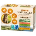 Iams Cat mix masa v omáčce 12 x 85 g – Hledejceny.cz