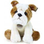 Eco- Friendly Rappa pes buldok 26 cm – Zboží Mobilmania