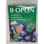 BIOPON BORŮVKY 1 kg – Zbozi.Blesk.cz