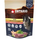 Ontario Adult kachní se zeleninou ve vývaru 300 g – Zbozi.Blesk.cz