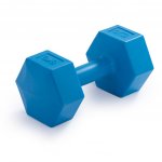 TRINFIT Činka na aerobic NCP 6 kg – Hledejceny.cz