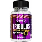 Real Pharm Tribulus Testo UP 60 kapslí – Hledejceny.cz