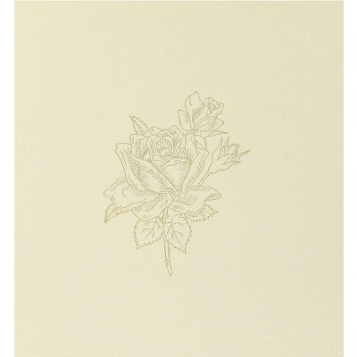 Fotoalbum 10x15 pro 800 fotek Art 184 Rose – Zboží Mobilmania