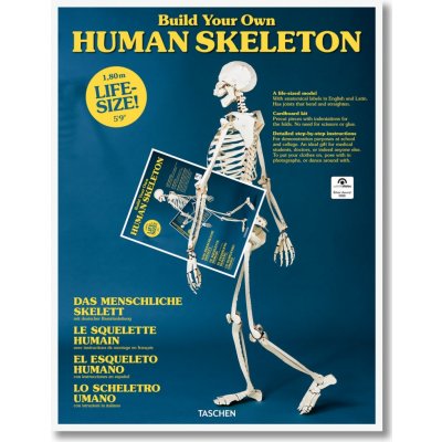 Build Your Own Human Skeleton – Zbozi.Blesk.cz