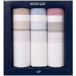 SCANquilt pánské kapesníky VIP 3 ks G106 pánské – Zboží Dáma