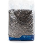 Profizoo Slunečnice černá 2,5 kg – Zboží Dáma