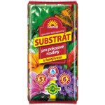 Forestina Substrát pro pokojové rostliny 5 l – Hledejceny.cz