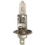 Starline H1 P14,5s 12V 55W