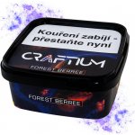 Craftium Forest Berree 200 g – HobbyKompas.cz