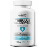 Aliver Kotvičník zemní 90% konc.4:1 500 mg 120 kapsúl – Zboží Mobilmania