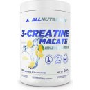 All Nutrition 3 Creatine Malate 500 g