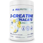 AllNutrition 3 Creatine Malate 500 g – Zboží Mobilmania