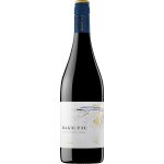 Magnetic Tinto 2023 14% 0,75 l (holá láhev) – Hledejceny.cz