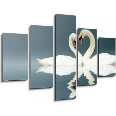 Obraz 5D pětidílný - 150 x 100 cm - Love Swans swan heart Amor – Zbozi.Blesk.cz
