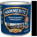 Akzo Nobel Hammerite přímo na rez 0,25L hladký černý – Zbozi.Blesk.cz