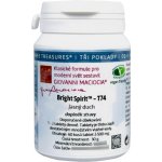 Maciocia Jasný duch T74 60 tablet – Hledejceny.cz
