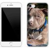 Pouzdro a kryt na mobilní telefon Apple Pouzdro mmCase Gelové iPhone SE 2020 - pitbull