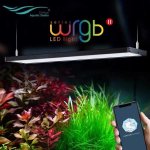 Chihiros LED WRGB II 45 49 W 45-60 cm s kontrolérem – Zboží Dáma