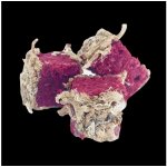 LK BAITS CUC! Patentka 40 g – Hledejceny.cz