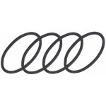 Elastické gumičky do vlasů Eurostil Professional - černé, 48 ks (03486) – Zboží Dáma