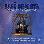 Aleš Brichta - Růže pro Algernon (Remastered 2026) CD – Hledejceny.cz