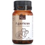 Serafin byliny Serafin Agaricus 90 kapslí – Hledejceny.cz