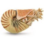 Collecta Loděnka hlubinná – Zbozi.Blesk.cz