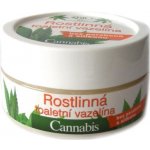 Bione Cosmetics Cannabis kosmetická toaletní vazelína 150 ml – Sleviste.cz