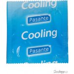 Pasante cooling 1 ks – Zbozi.Blesk.cz