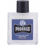 Proraso balzám na vousy 100 ml – Hledejceny.cz