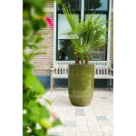 Ter Steege Váza Pure forest D41 H63 – Hledejceny.cz