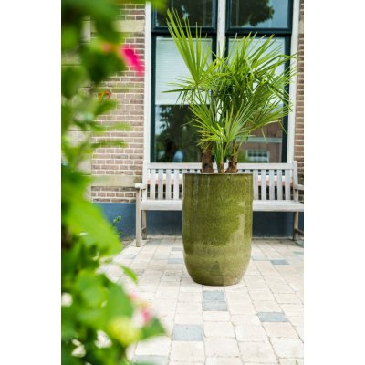 Ter Steege Váza Pure forest D41 H63 – Hledejceny.cz