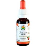 Salvia Paradise Schizandra čínská klanopraška tinktura 30 ml – Hledejceny.cz