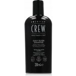 American Crew Daily Silver Shampoo 250 ml – Sleviste.cz
