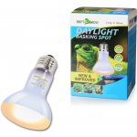 Repti Zoo Daylight basking spot 25 W – Hledejceny.cz