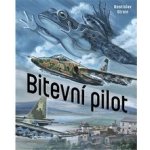 Bitevní pilot - Stroin Rostislav – Hledejceny.cz