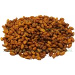 Koňské bylinky Rakytník řešetlákový plod Hippophae rhamnoides 0,5 kg – Hledejceny.cz