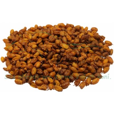Koňské bylinky Rakytník řešetlákový plod Hippophae rhamnoides 0,5 kg – Hledejceny.cz
