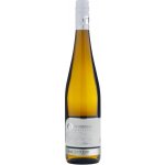 ZD Němčičky Cuvée blanc 2019 0,75 l – Sleviste.cz
