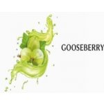 Flavorika Potravinářská příchuť Goosberry 10 ml – Sleviste.cz