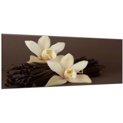 Obraz skleněný orchidej a vanilkový lusk - 30 x 60 cm – Hledejceny.cz