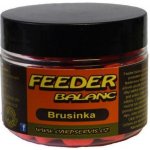 Carp Servis Václavík Feeder Balanc 45 g Slunečnice – Hledejceny.cz