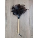 Pštrosí Pštrosí prachovka W20BG – Sleviste.cz